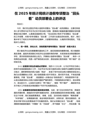 在2025年统计局统计造假专项整治“回头看”动员部署会上的讲话