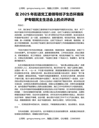 在2025年街道党工委领导班子生态环境保护专题民主生活会上的点评讲话