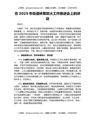 在2025年街道林草防火工作推进会上的讲话