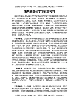 法院副院长学习发言材料