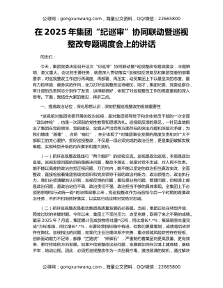 在2025年集团“纪巡审”协同联动暨巡视整改专题调度会上的讲话
