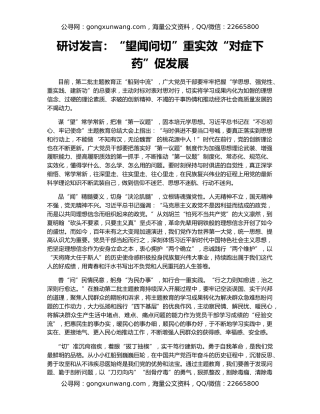 研讨发言：“望闻问切”重实效“对症下药”促发展