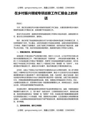 在乡村振兴领域专项巡察工作汇报会上的讲话