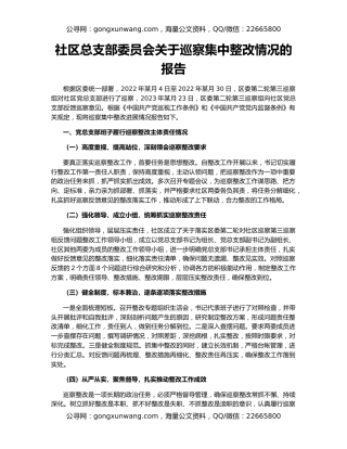 社区总支部委员会关于巡察集中整改情况的报告