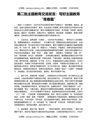 第二批主题教育交流发言：写好主题教育“青春篇”