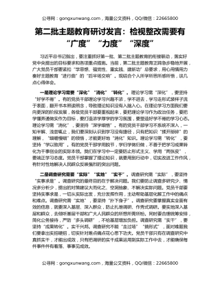 第二批主题教育研讨发言：检视整改需要有“广度”“力度”“深度”