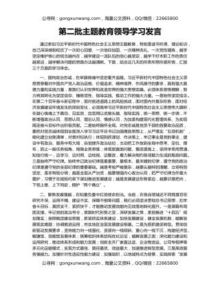 第二批主题教育领导学习发言