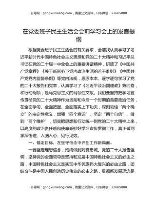 在党委班子民主生活会会前学习会上的发言提纲