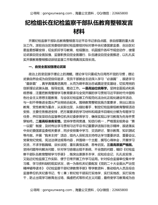 纪检组长在纪检监察干部队伍教育整顿发言材料