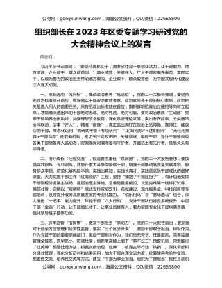 组织部长在2023年区委专题学习研讨党的大会精神会议上的发言