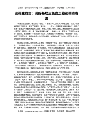 选调生发言：调好基层三色盘走稳选调青春路