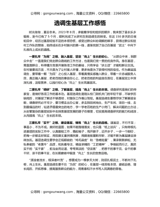 选调生基层工作感悟