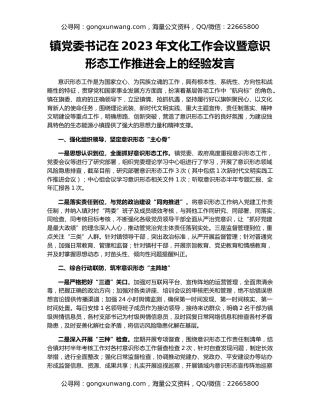 镇党委书记在2023年文化工作会议暨意识形态工作推进会上的经验发言