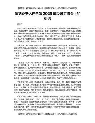 镇党委书记在全镇2023年经济工作会上的讲话