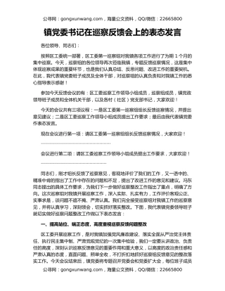 镇党委书记在巡察反馈会上的表态发言