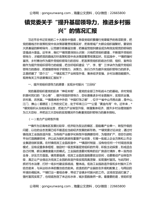 镇党委关于“提升基层领导力，推进乡村振兴”的情况汇报