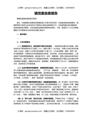 镇党委自查报告