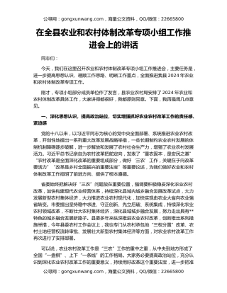 在全县农业和农村体制改革专项小组工作推进会上的讲话