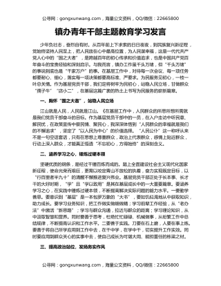 镇办青年干部主题教育学习发言