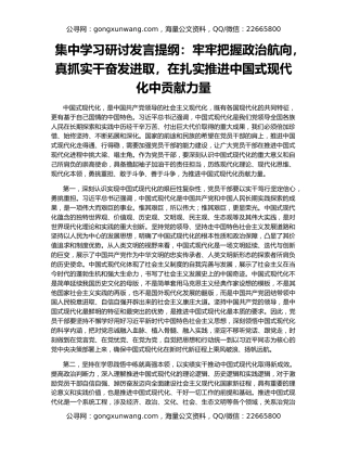 集中学习研讨发言提纲：牢牢把握政治航向，真抓实干奋发进取，在扎实推进中国式现代化中贡献力量