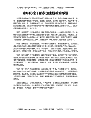 青年纪检干部参加主题教育感悟