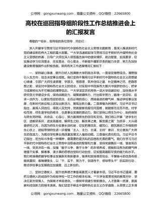 高校在巡回指导组阶段性工作总结推进会上的汇报发言