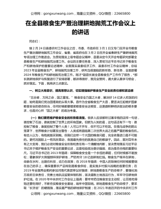 在全县粮食生产暨治理耕地抛荒工作会议上的讲话