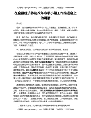 在全县经济体制改革专项小组工作推进会上的讲话