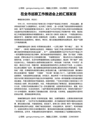在全市巡察工作推进会上的汇报发言