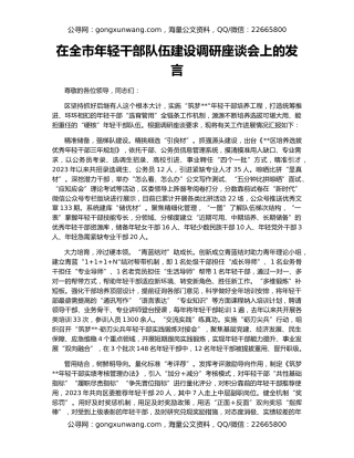 在全市年轻干部队伍建设调研座谈会上的发言