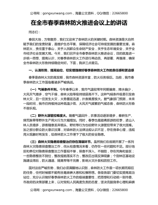 在全市春季森林防火推进会议上的讲话