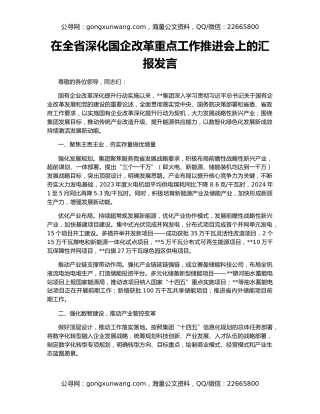 在全省深化国企改革重点工作推进会上的汇报发言