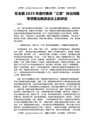 在全镇2025年度村集体“三资”突出问题专项整治推进会议上的讲话