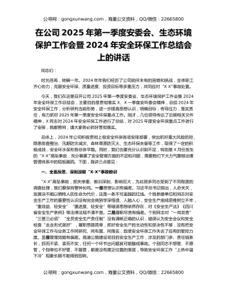 在公司2025年第一季度安委会、生态环境保护工作会暨2024年安全环保工作总结会上的讲话