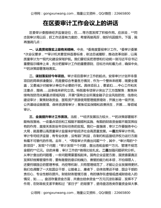 在区委审计工作会议上的讲话