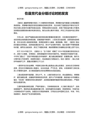 在县党代会分组讨论时的发言