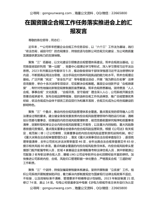 在国资国企合规工作任务落实推进会上的汇报发言