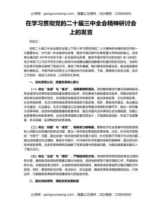 在学习贯彻党的二十届三中全会精神研讨会上的发言