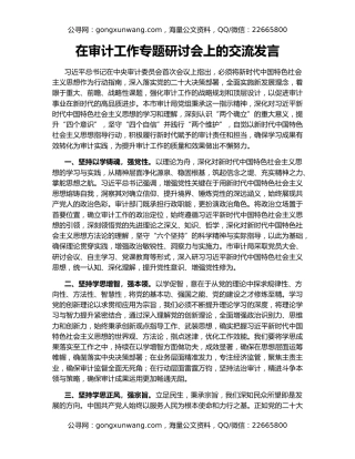 在审计工作专题研讨会上的交流发言