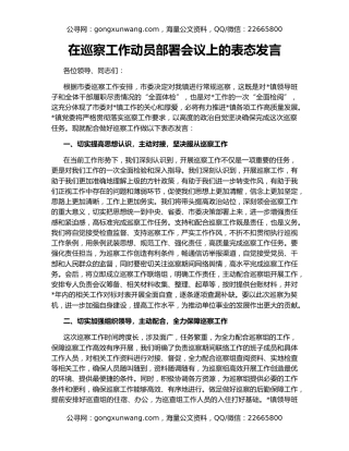 在巡察工作动员部署会议上的表态发言