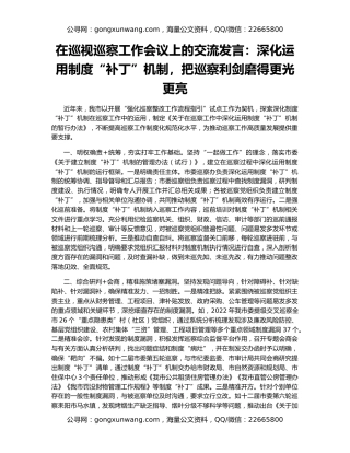在巡视巡察工作会议上的交流发言：深化运用制度“补丁”机制，把巡察利剑磨得更光更亮