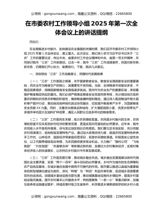 在市委农村工作领导小组2025年第一次全体会议上的讲话提纲