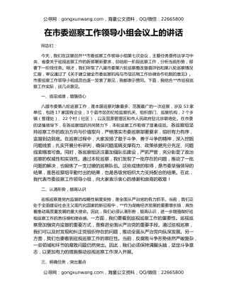 在市委巡察工作领导小组会议上的讲话