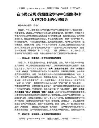 在市局(公司)党组理论学习中心组集体(扩大)学习会上的心得体会