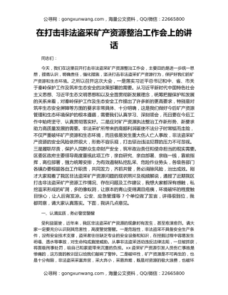 在打击非法盗采矿产资源整治工作会上的讲话