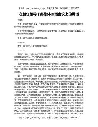 在新任领导干部集体谈话会议上的讲话