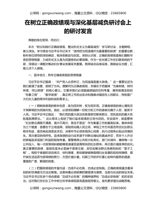 在树立正确政绩观与深化基层减负研讨会上的研讨发言