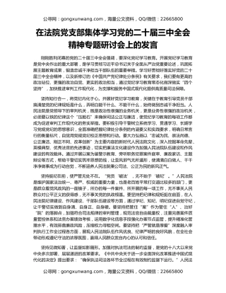 在法院党支部集体学习党的二十届三中全会精神专题研讨会上的发言