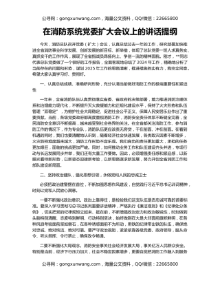 在消防系统党委扩大会议上的讲话提纲