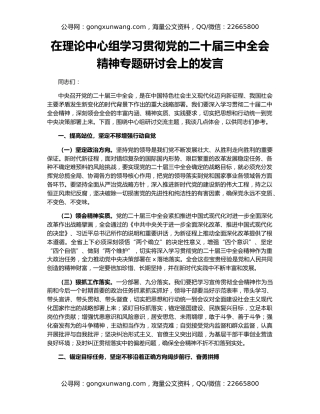 在理论中心组学习贯彻党的二十届三中全会精神专题研讨会上的发言